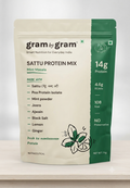 Mint Masala — Sattu Protein Mix · 1kg Pouch